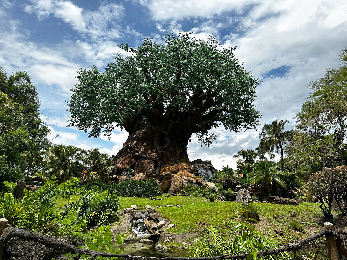 The Tree of Life at Disney's Animal Kingdom Theme Park