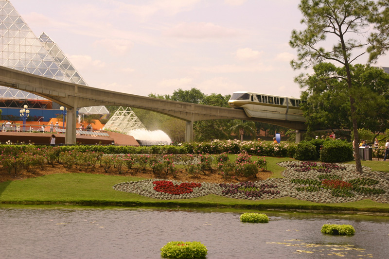 Rose Flower Fields West Berm Mickey 1_1