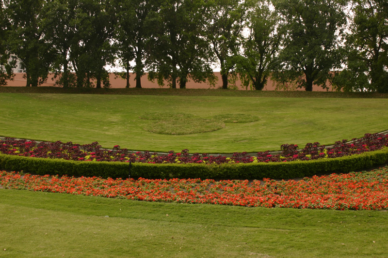 Turf Berm Mickey Land 1_1