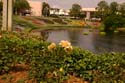 Rose-Garden-img_3020