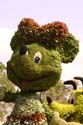 Topiaries-img_3367