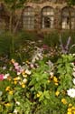 Flower-Garden-img_3538