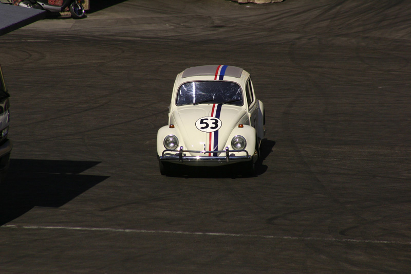 6_Herbie03