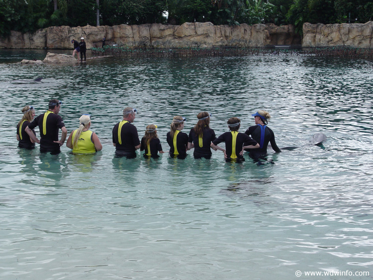 Dolphin-Encounter-DSC02575