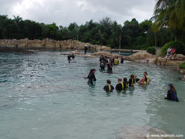 Dolphin-Encounter-DSC02579