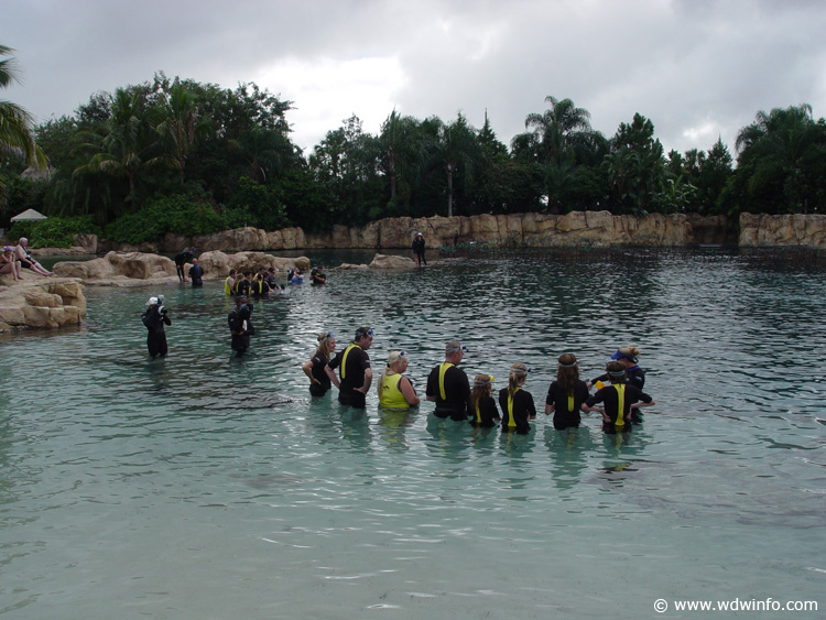 Dolphin-Encounter-DSC02580