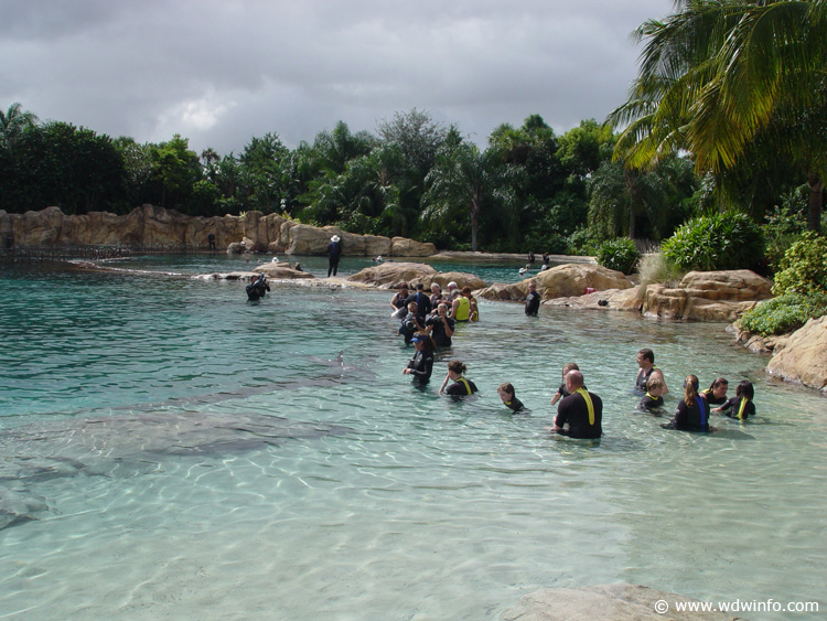 Dolphin-Encounter-DSC02585