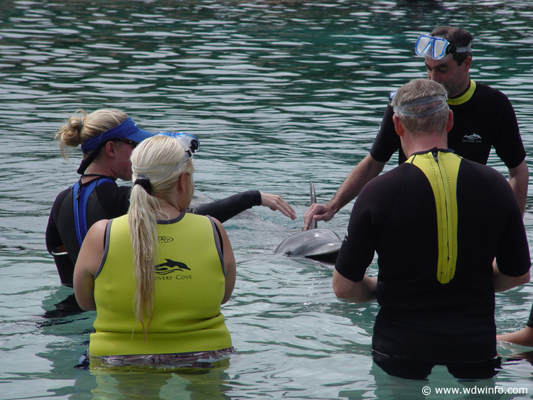 Dolphin-Encounter-DSC02587