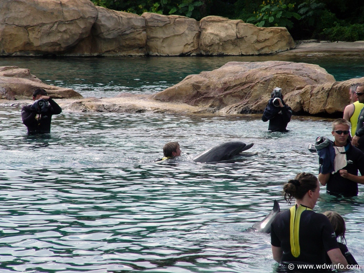 Dolphin-Encounter-DSC02595