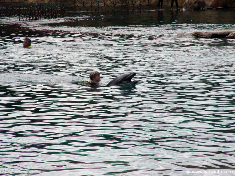 Dolphin-Encounter-DSC02597