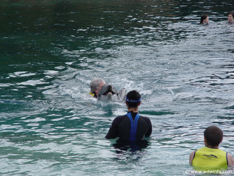 Dolphin-Encounter-DSC02613