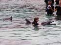 Dolphin-Encounter-DSC02583