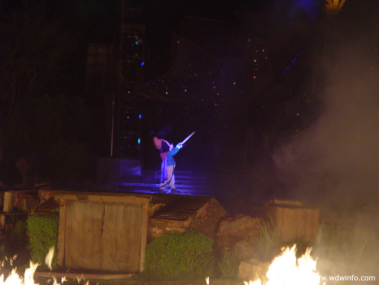 Fantasmic DSC00139