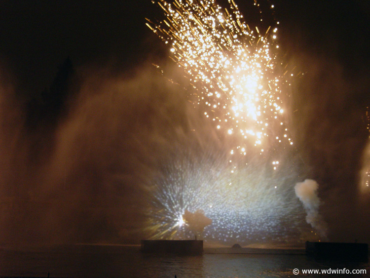 Fantasmic DSC00140