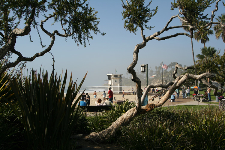 laguna-beach-IMG_9587