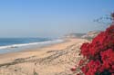 laguna-beach-IMG_9602