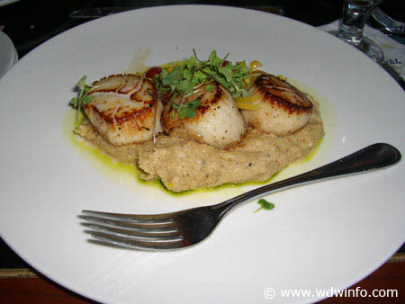 Scallops