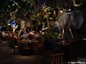 DD-marketplace_Rainforest-Cafe01