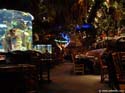 DD-marketplace_Rainforest-Cafe02